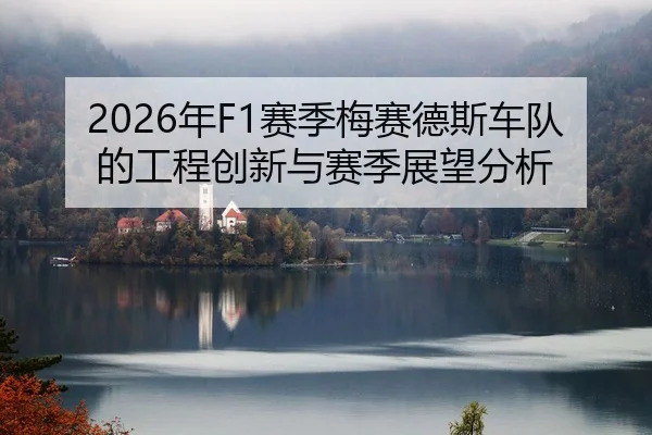 nian-sai-ji-mei-sai-de-si-che-dui-de-gong-cheng-chuang-xin-yu-sai-ji-zhan-wang-fen-xi-2-787.jpg